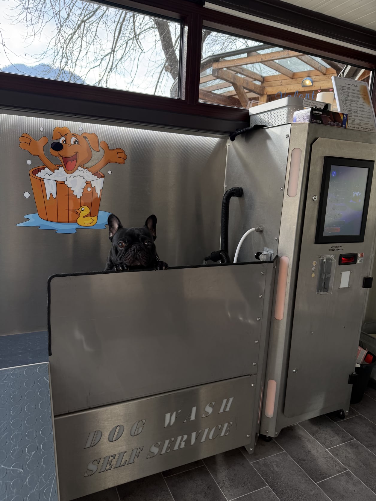 Pasja pralnica Celje